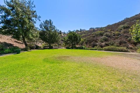 10170 Destiny Mountain Ct, Spring Valley, CA 91978 photo 43