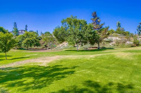 2832 Glen Canyon Cir, Spring Valley, CA 91977 photo 36