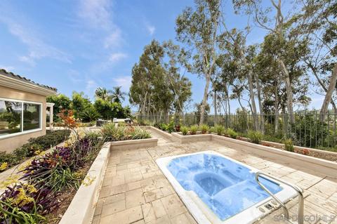 7177 Tern Pl, Carlsbad, CA 92011 photo 22