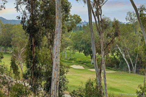 7177 Tern Pl, Carlsbad, CA 92011 photo 44