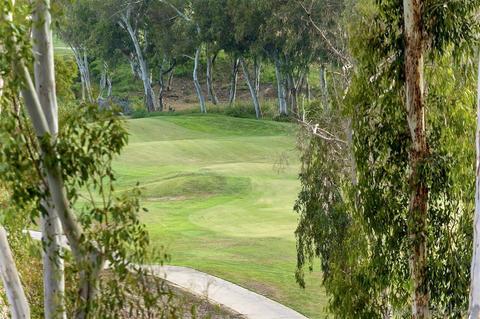 7177 Tern Pl, Carlsbad, CA 92011 photo 45