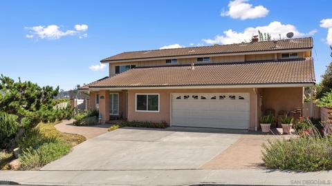 13224 Mango Dr, Del Mar, CA 92014 photo 22