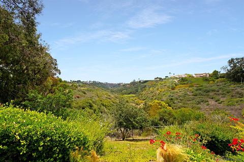 2285 Via Tabara, La Jolla, CA 92037 photo 31