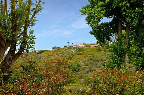2285 Via Tabara, La Jolla, CA 92037 photo 18