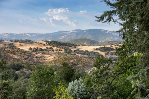 3260 Blue Jay Dr, Julian, CA 92036 photo 40