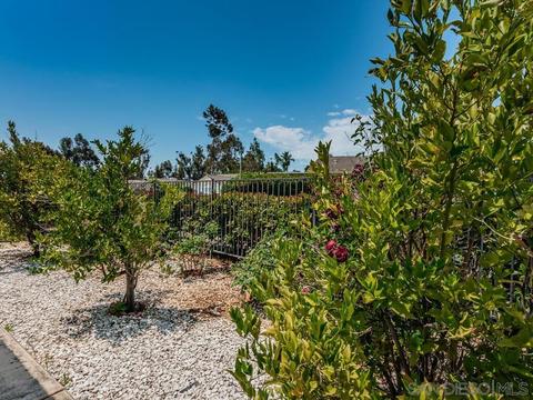 802 Orla St, San Marcos, CA 92069 photo 22