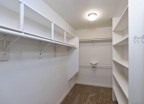 5681 Caminito Danzarin, La Jolla, CA 92037 photo 14