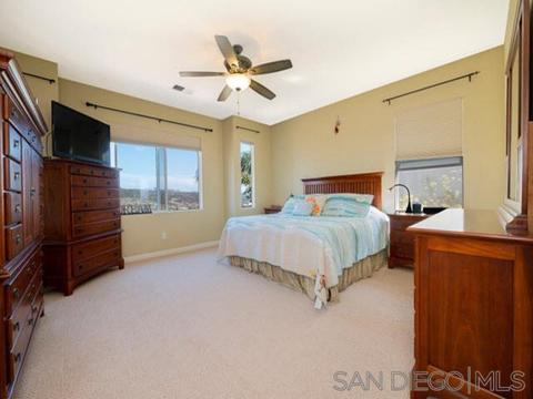 3482 Rich Field Dr, Carlsbad, CA 92010 photo 15
