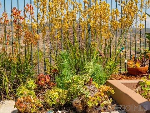 3482 Rich Field Dr, Carlsbad, CA 92010 photo 29