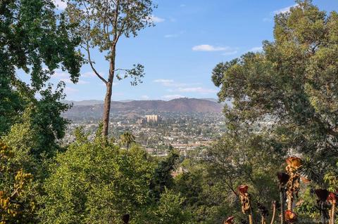 10602 Noakes Rd, La Mesa, CA 91941 photo 43