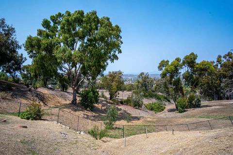 368 Vista Marazul, Oceanside, CA 92057 photo 44