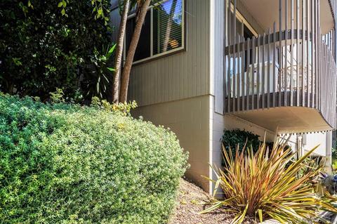 155 Rosebay Dr #19, Encinitas, CA 92024 photo 21