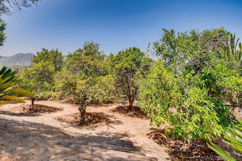 14565 High Valley Rd, Poway, CA 92064 photo 24