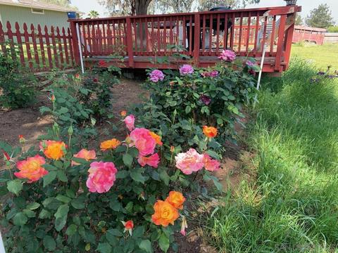 298 Durgin St, Ramona, CA 92065 photo 34