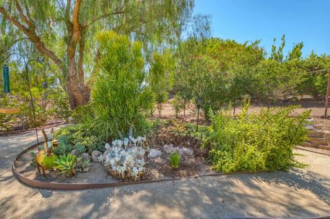 24517 Rutherford Rd, Ramona, CA 92065 photo 39