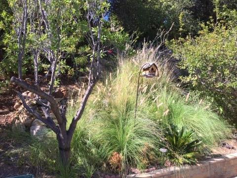 4747 Oak Crest Rd #62, Fallbrook, CA 92028 photo 10