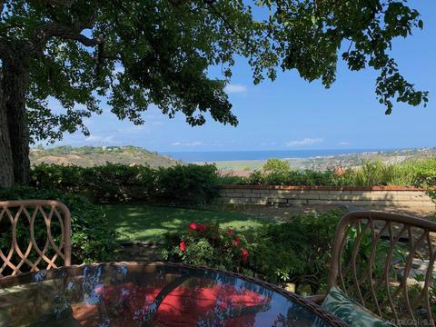441 Santa Dominga, Solana Beach, CA 92075 photo 18