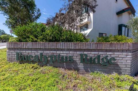 1462 Summit Dr, Chula Vista, CA 91910 photo 30