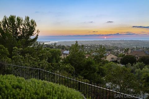 7047 Corintia St, Carlsbad, CA 92009 photo 55