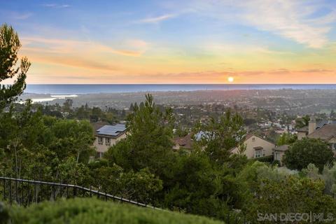 7047 Corintia St, Carlsbad, CA 92009 photo 64