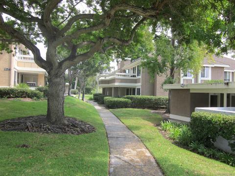 882 Buttercup Rd, Carlsbad, CA 92011 photo 19
