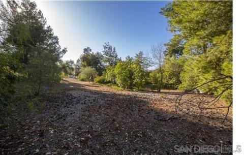 8540 S Slope Dr, Santee, CA 92071 photo 3