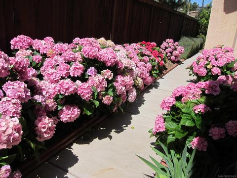 3940 Plateau Pl, Carlsbad, CA 92010 photo 26