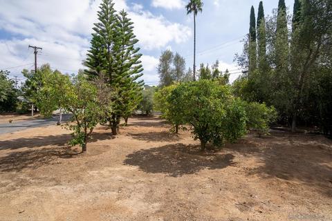 1220 Via Ramon, Escondido, CA 92029 photo 42