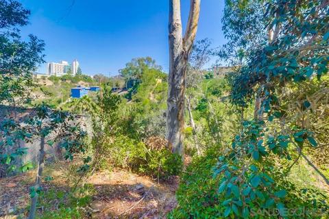 4055 Eagle St #101, San Diego, CA 92103 photo 36