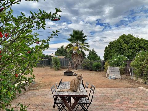 641 W Elder St, Fallbrook, CA 92028 photo 24