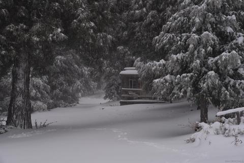 33350 Upper Meadow Rd, Palomar Mountain, CA 92060 photo 57