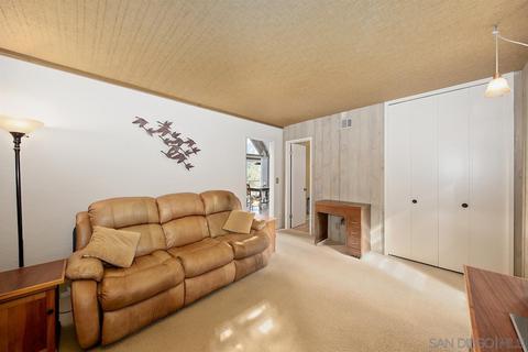 8087 Pine Blvd, Pine Valley, CA 91962 photo 15