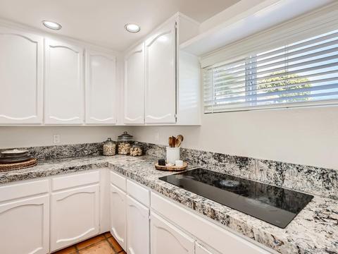 321 Crocus Ct, Encinitas, CA 92024 photo 10