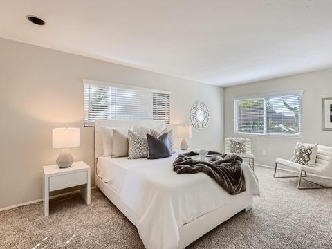 321 Crocus Ct, Encinitas, CA 92024 photo 17
