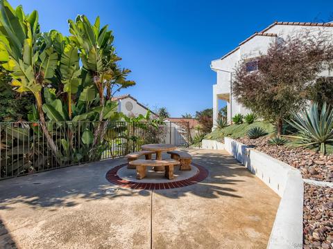 321 Crocus Ct, Encinitas, CA 92024 photo 22