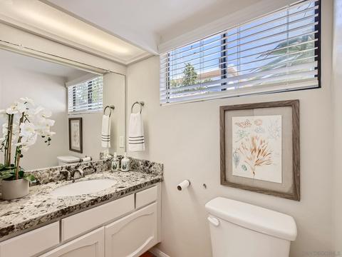 321 Crocus Ct, Encinitas, CA 92024 photo 13