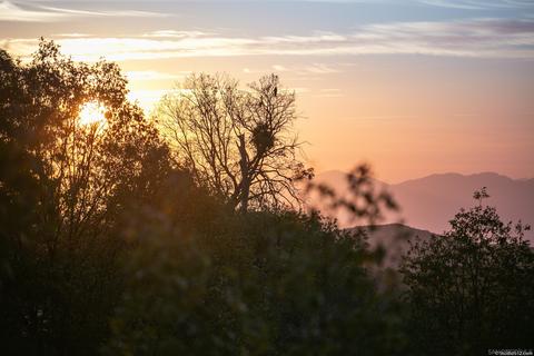 7828 Engineers Rd, Julian, CA 92036 photo 35