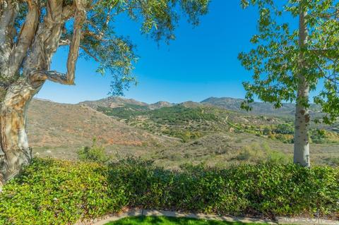 17065 Butterfield Trl, Poway, CA 92064 photo 65