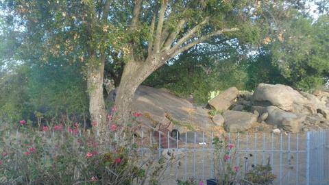 12920 Wildcat Canyon Rd, Lakeside, CA 92040 photo 20