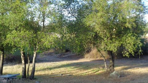 12920 Wildcat Canyon Rd, Lakeside, CA 92040 photo 18