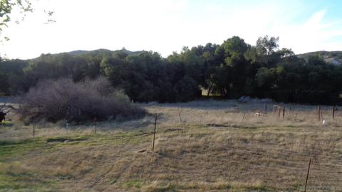 12920 Wildcat Canyon Rd, Lakeside, CA 92040 photo 15