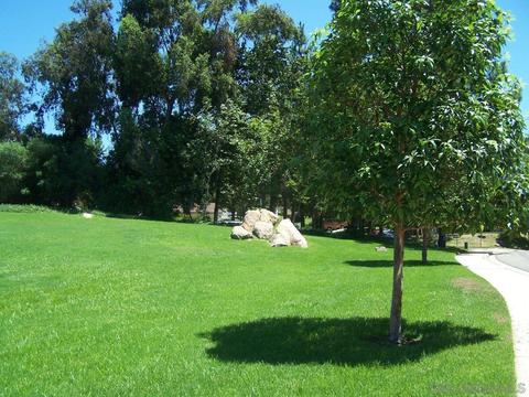 263 Skyridge Ln, Escondido, CA 92026 photo 28