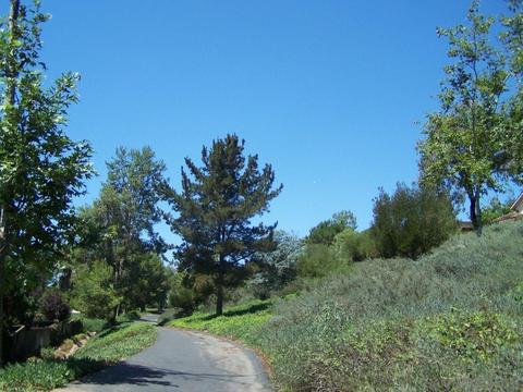 263 Skyridge Ln, Escondido, CA 92026 photo 31