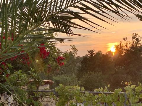 4011 Burma Spur, Fallbrook, CA 92028 photo 8