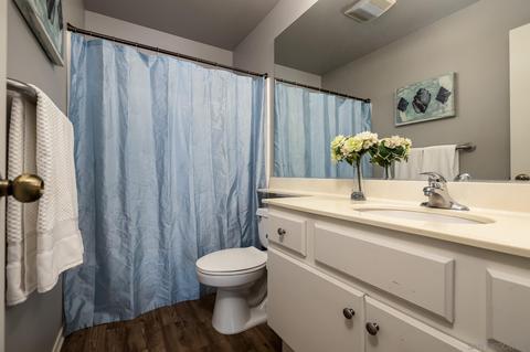 2344 Hyacinth Rd, Alpine, CA 91901 photo 15