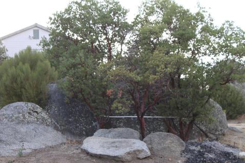 2588 Hollywood Dr, Campo, CA 91906 photo 7