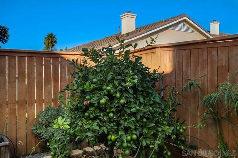3928 Tortuga Cv, Oceanside, CA 92058 photo 31