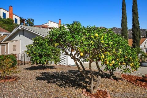 1920 Louis Dr, Escondido, CA 92026 photo 3