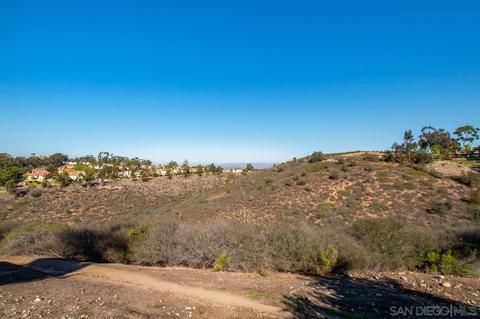 10819 Figtree Ct, San Diego, CA 92131 photo 47