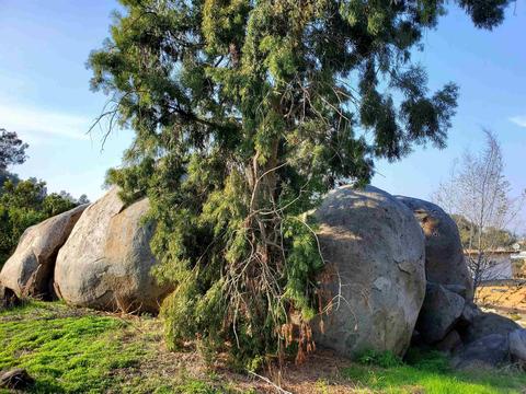 1359-61 Windmill Rd, El Cajon, CA 92019 photo 20